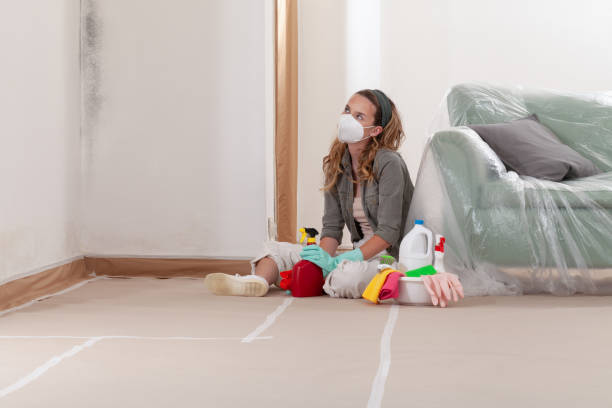 Reliable Attic Mold Remediation contractor in Pittsboro, NC by Mold Remediation HQ